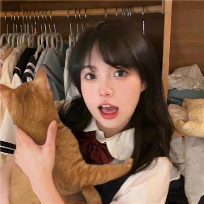 老柿子树
